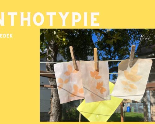 Anthotypie výsledek