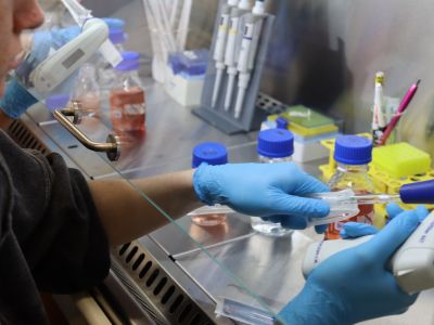 Gymnázium Tanvald 2025-06-18 02