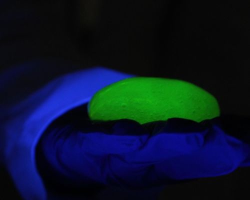 Fluorescentní sliz